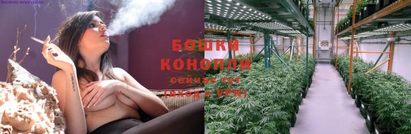 крисы Кукмор