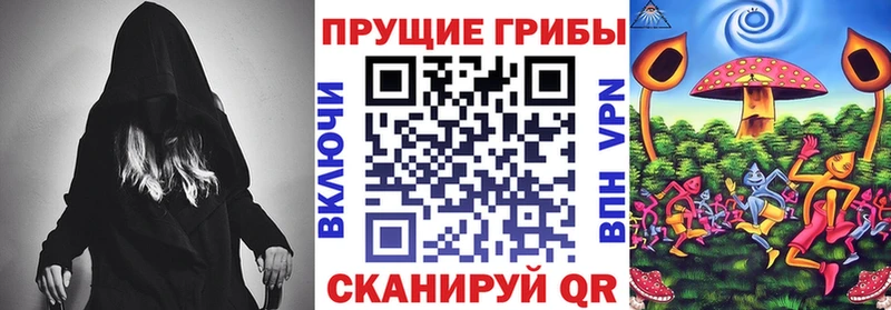 продажа наркотиков  Дыгулыбгей  Псилоцибиновые грибы мицелий 
