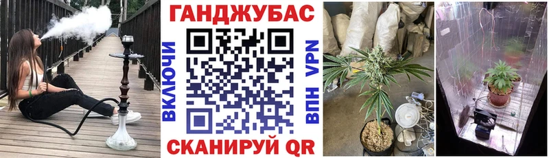купить наркотики сайты  Дыгулыбгей  маркетплейс наркотические препараты  Бошки Шишки индика 